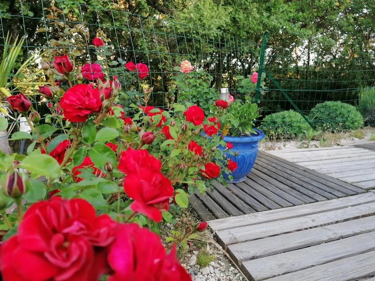 Hébergement de vacances Le Clos du Grand Chêne Saint-Marcel-d'Ardeche