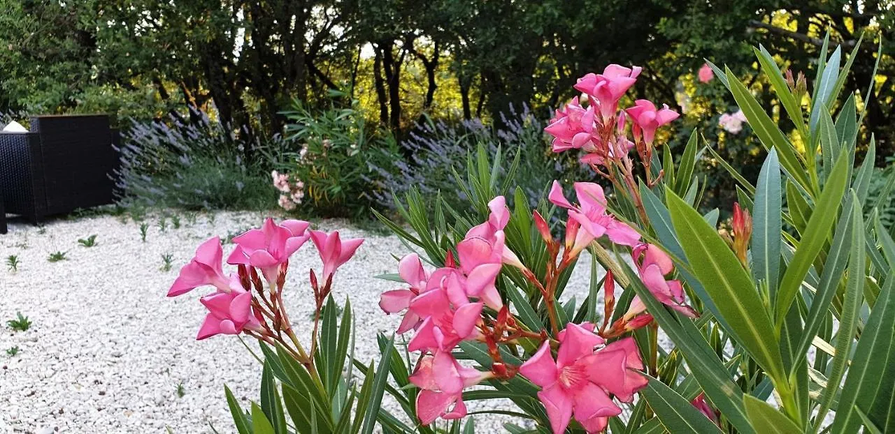 Le Clos du Grand Chêne Saint-Marcel-d'Ardeche Hébergement de vacances